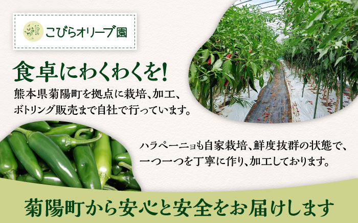 ハラペーニョ 醤油漬けとピクルスのセット / はらぺーにょ 醤油漬け ハラペーニョ ピクルス 唐辛子 調味料 2種 セット 菊陽町 熊本県【こびらオリーブ園】 [BHBL014]