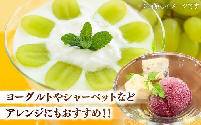 【限定数量】【8月下旬発送開始】シャインマスカット クインニーナ 詰め合わせ 約1.1kg～1.3kg 合計2～3房【りとる農房】 [BHBO003]