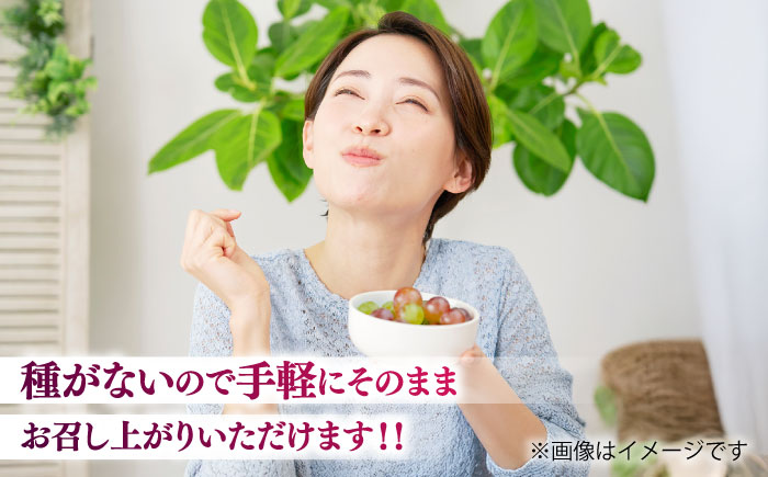 【限定数量】【10月下旬発送開始】ウインク 約1.1kg～1.3kg 合計2～3房 ぶどう【りとる農房】 [BHBO004]