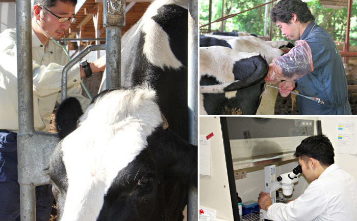 大阿蘇牛乳200ｍl12本、カフェオレ200ｍl12本 24本セット【合同会社 たべたせいか】 [BHBY012]