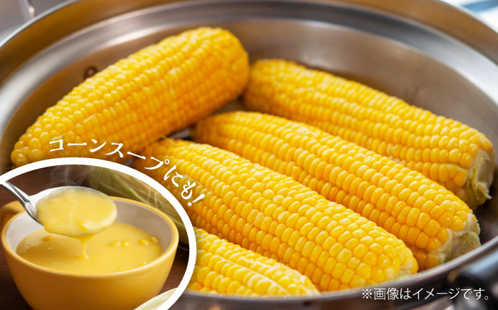 【先行予約】【2026年6月上旬より順次発送】スイートコーン(甘々娘) 約4kg（10～11本） とうもろこし【なかむら農園】 [BHCJ001]