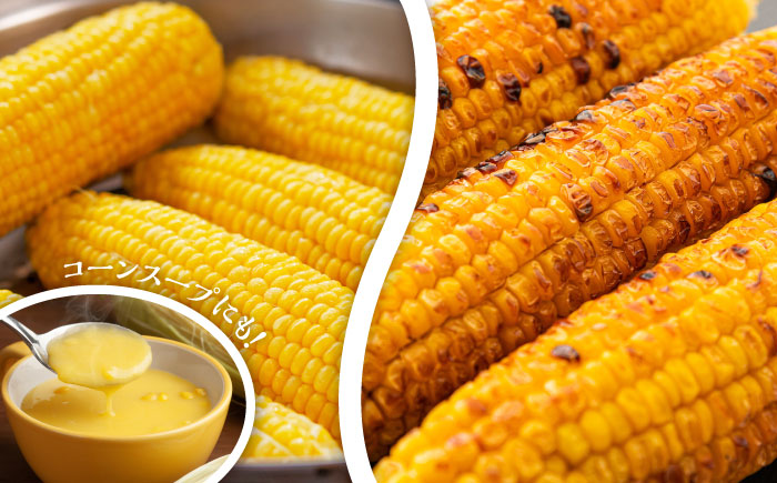 【先行予約】【2026年6月上旬より順次発送】スイートコーン、ドルチェドリームと甘々娘の食べ比べセット とうもろこし【なかむら農園】 [BHCJ003]