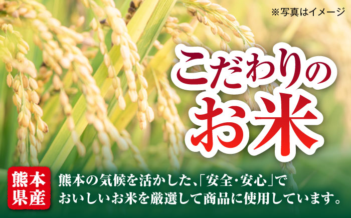 【全3回定期便】熊本県産 こだわり炒飯 大人の黒毛和牛 230g×20袋 合計4.6kg【ユーユーフーズ株式会社】 [BHCS021]