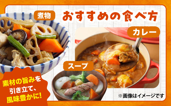 秋にんじん10kg / ニンジン 野菜 β-カロテン 食物繊維 抗酸化作用 栄養満点 熊本県産 菊陽町　【株式会社 まゆみ農園】 [BHCW006]