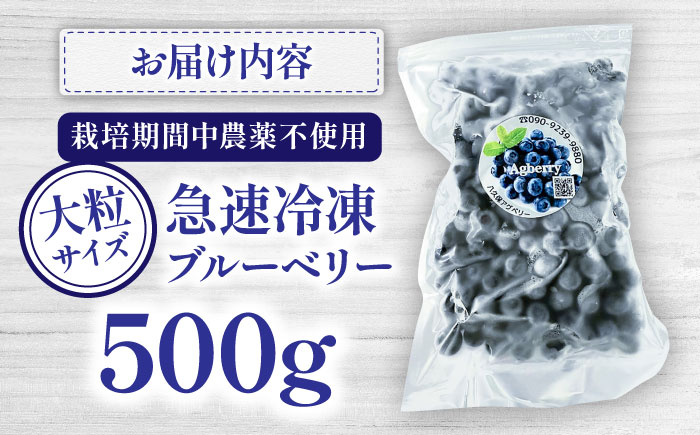【大粒サイズ】国産 急速冷凍ブルーベリー 500g【アグファーム株式会社】 [BHCX001]