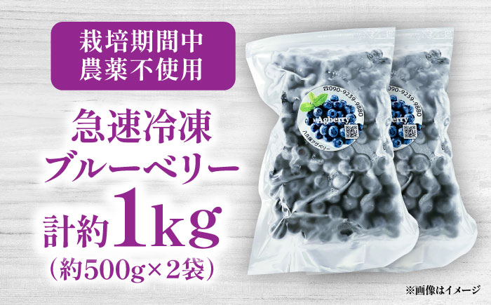 青い宝石 国産 急速冷凍ブルーベリー 計約1kg（約500g×2袋） 果物 くだもの フルーツ ぶるーべりー 熊本県 菊陽町【アグファーム株式会社】 [BHCX005]