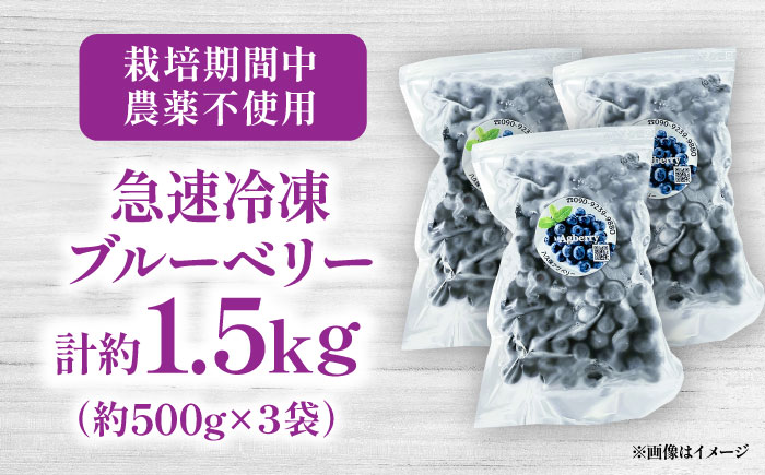 青い宝石 国産 急速冷凍ブルーベリー 計約1.5kg（約500g×3袋） 果物 くだもの フルーツ ぶるーべりー 熊本県 菊陽町【アグファーム株式会社】 [BHCX006]