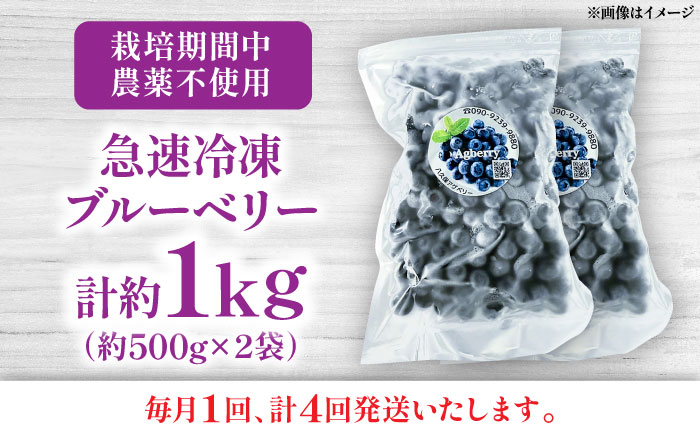 【全4回定期便】青い宝石 国産 急速冷凍ブルーベリー 計約1kg（約500g×2袋） 果物 くだもの フルーツ ぶるーべりー 熊本県 菊陽町【アグファーム株式会社】 [BHCX012]