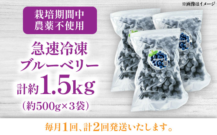 【全2回定期便】青い宝石 国産 急速冷凍ブルーベリー 計約1.5kg（約500g×3袋） 果物 くだもの フルーツ ぶるーべりー 熊本県 菊陽町【アグファーム株式会社】 [BHCX013]