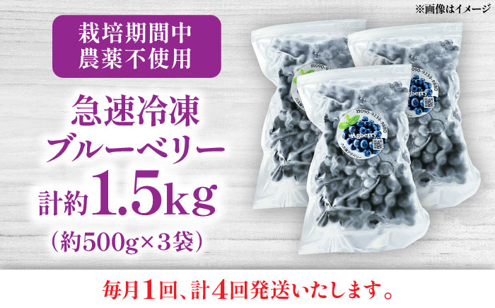 【全4回定期便】青い宝石 国産 急速冷凍ブルーベリー 計約1.5kg（約500g×3袋） 果物 くだもの フルーツ ぶるーべりー 熊本県 菊陽町【アグファーム株式会社】 [BHCX015]