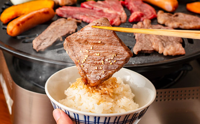 【全12回定期便】熊本あか牛 焼肉用カット(バラ ロース) 約500g / 熊本県 あか牛 あかうし 和牛 焼肉 ロース バラ 牛肉 お肉 褐毛和種 冷凍 国産【五右衛門フーズ】 [BHCY048]