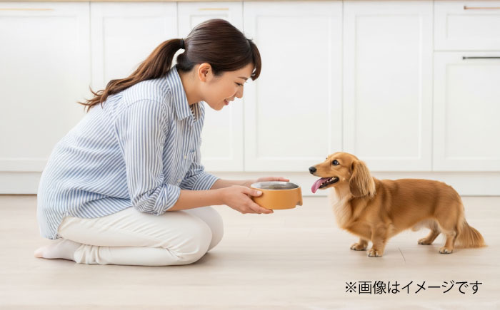 【全6回定期便】国内加工 ペット用 馬肉 切り落とし 約2kg(約1kg×2) / ペットフード ドッグフード 愛犬 馬肉 生食 加熱 ペット用 【五右衛門フーズ】 [BHCY059]