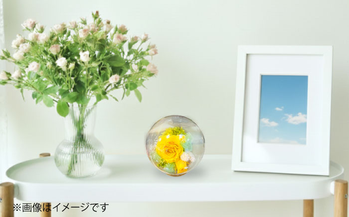 プリザーブドフラワー　ガラスドーム (黄色) / 花 プレゼント 贈答用 ガラス 母の日 父の日 入学式 卒業式 菊陽町 熊本県【株式会社 美向】 [BHDC003]