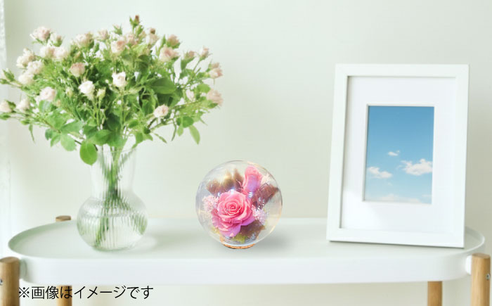 プリザーブドフラワー　ガラスドーム (ピンク) / 花 プレゼント 贈答用 ガラス 母の日 父の日 入学式 卒業式 菊陽町 熊本県【株式会社 美向】 [BHDC006]
