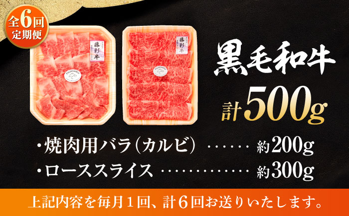 【全6回定期便】くまもと黒毛和牛「藤彩牛」2種の食べ比べ計500g 3900【株式会社フジチク】 [BHAD037]