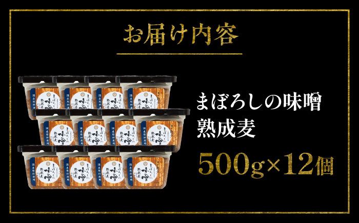 【年内発送は12月11日ご入金分まで！】まぼろしの味噌 熟成麦 500g×12個セット【株式会社山内本店】 [BHAE021]