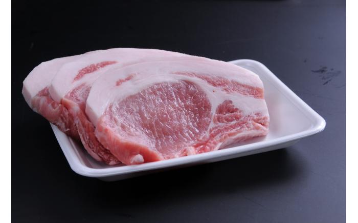 【香心ポーク】 ロースステーキ 厚切り 5枚 セット(計約750g) 豚肉【有限会社コーシン】 [BHAH007]