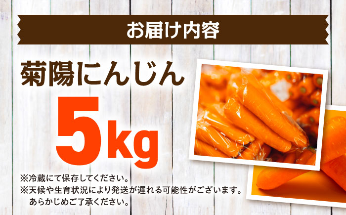【数量限定】菊陽町の春にんじん 5kg / 人参 ニンジン 5キロ 野菜 熊本県 菊陽町 【有限会社さんふれあ】 [BHAK001]