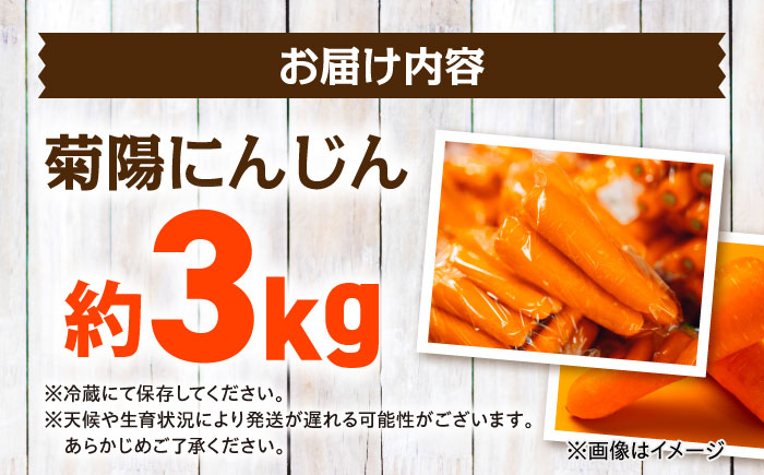 【数量限定】菊陽町の春にんじん 約3kg【有限会社さんふれあ】 [BHAK003]