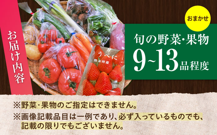菊陽町特産品 「野菜・果物などの詰め合わせ」 / 新鮮 詰合せ フルーツ 野菜セット 旬 おまかせ にんじん ごぼう 直売所 やさい くだもの 熊本県 特産品 菊陽町 【有限会社さんふれあ】 [BHAK006]