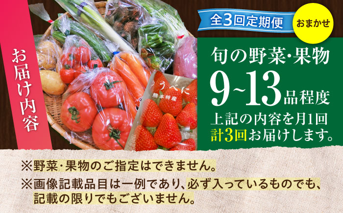 【全3回定期便】菊陽町特産品 「野菜・果物などの詰め合わせ」　 / 新鮮 詰合せ フルーツ 野菜セット 旬 おまかせ にんじん 直売所 やさい くだもの 熊本県 特産品 菊陽町【有限会社さんふれあ】 [BHAK007]