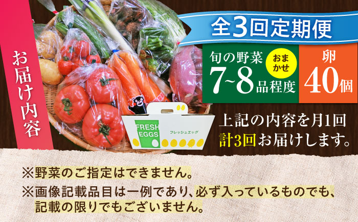 【全3回定期便】新鮮たまごと旬の野菜セット(野菜7~8品程度＋40個) / たまご 生卵 タマゴ 詰合せ セット 熊本県 特産品【有限会社さんふれあ】 [BHAK009]
