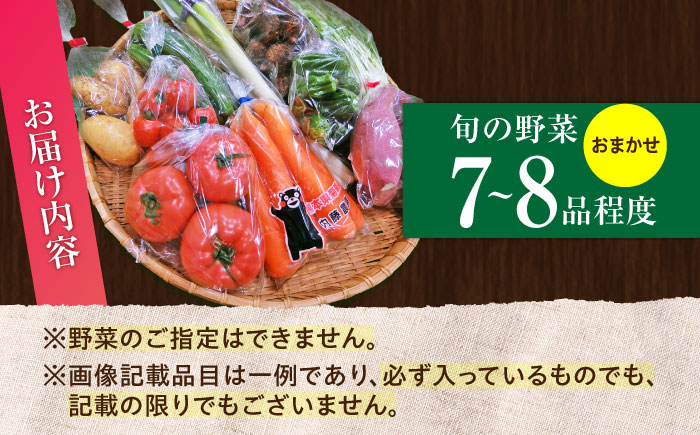 旬の 野菜セット (約3kg/野菜7-8品程度) / 野菜 新鮮 旬 詰合せ セット 熊本県 菊陽町 特産品 【有限会社さんふれあ】 [BHAK023]