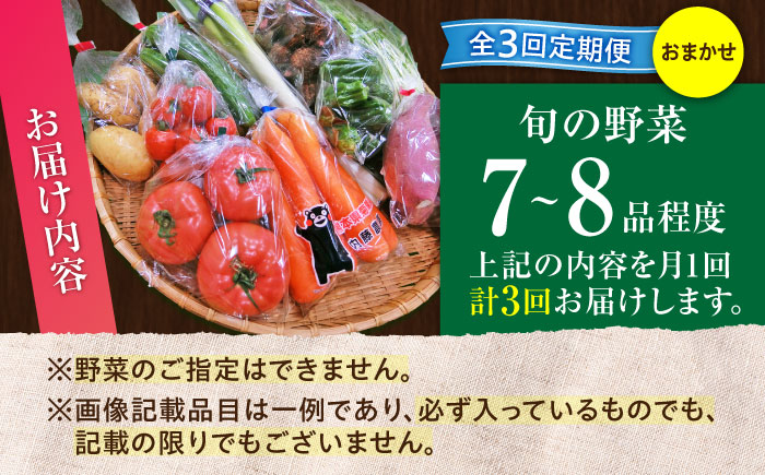 【全3回定期便】旬の 野菜セット (約3kg/野菜7-8品程度) / 野菜 新鮮 旬 詰合せ セット 熊本県 菊陽町 特産品 【有限会社さんふれあ】 [BHAK024]