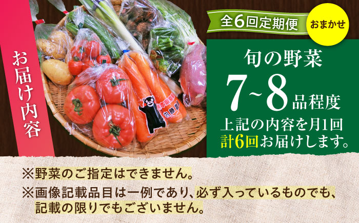 【全6回定期便】旬の 野菜セット (約3kg/野菜7-8品程度) / 野菜 新鮮 旬 詰合せ セット 熊本県 菊陽町 特産品 【有限会社さんふれあ】 [BHAK025]