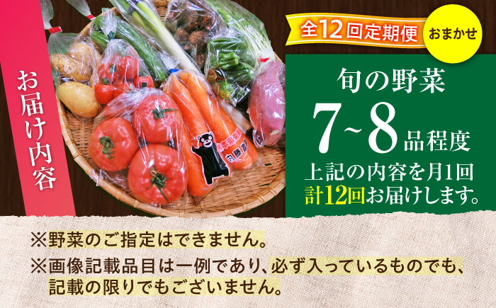 【全12回定期便】旬の 野菜セット (約3kg/野菜7-8品程度) / 野菜 新鮮 旬 詰合せ セット 熊本県 菊陽町 特産品 【有限会社さんふれあ】 [BHAK026]