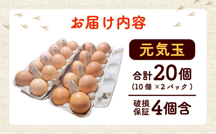 平飼い新鮮たまご 元気玉 計20個(10個×2パック) / 卵 ぷりぷり 新鮮 玉子 オムレツ たまごかけごはん 朝食 タンパク質 平飼い 濃厚 こく 熊本県 菊陽町【ぴよっこファーム】 [BHAP001]