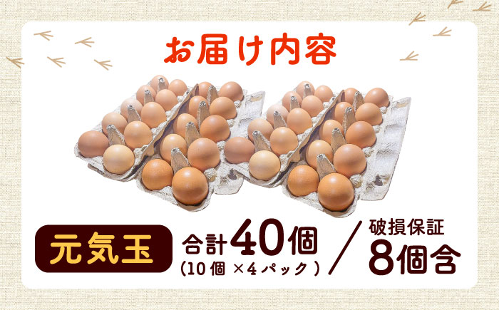 平飼い新鮮たまご 元気玉 計40個(10個×4パック) / 卵 ぷりぷり 新鮮 玉子 オムレツ たまごかけごはん 朝食 タンパク質 平飼い 濃厚 こく 熊本県 菊陽町【ぴよっこファーム】 [BHAP002]