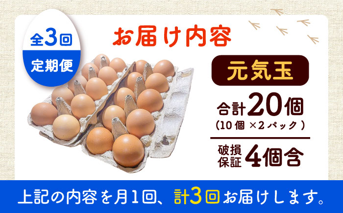 【全3回定期便】平飼い新鮮たまご 元気玉 計20個(10個×2パック) / 卵 ぷりぷり 新鮮 玉子 オムレツ たまごかけごはん 朝食 平飼い 濃厚 こく 熊本県 菊陽町【ぴよっこファーム】 [BHAP003]