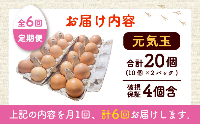 【全6回定期便】平飼い新鮮たまご 元気玉 計20個(10個×2パック) / 卵 ぷりぷり 新鮮 玉子 オムレツ たまごかけごはん 朝食 平飼い 濃厚 こく 熊本県 菊陽町【ぴよっこファーム】 [BHAP004]