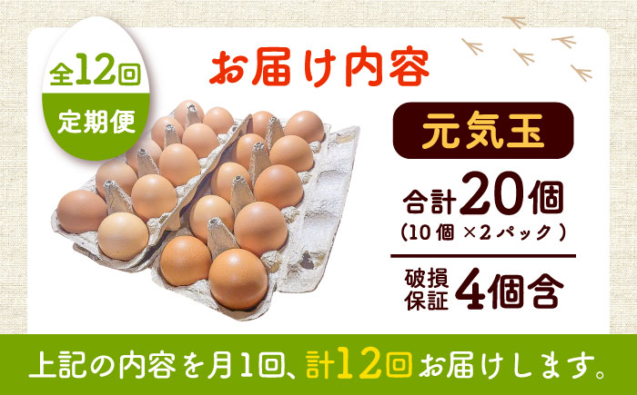 【全12回定期便】平飼い新鮮たまご 元気玉 計20個(10個×2パック) / 卵 ぷりぷり 新鮮 玉子 オムレツ たまごかけごはん 朝食 平飼い 濃厚 こく 熊本県 菊陽町【ぴよっこファーム】 [BHAP005]