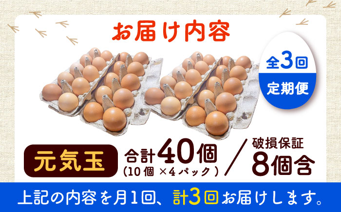【全3回定期便】平飼い新鮮たまご 元気玉 計40個(10個×4パック) / 卵 ぷりぷり 新鮮 玉子 オムレツ たまごかけごはん 朝食 平飼い 濃厚 こく 熊本県 菊陽町【ぴよっこファーム】 [BHAP006]