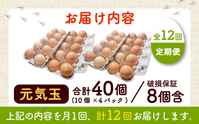 【全12回定期便】平飼い新鮮たまご 元気玉 計40個(10個×4パック) / 卵 ぷりぷり 新鮮 玉子 オムレツ たまごかけごはん 朝食 平飼い 濃厚 こく 熊本県 菊陽町【ぴよっこファーム】 [BHAP008]
