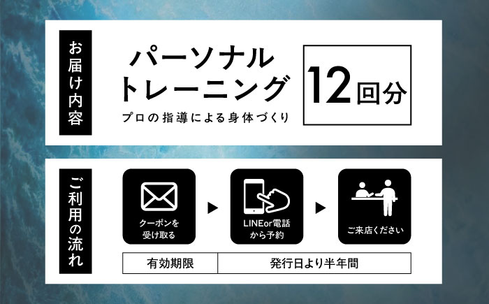 エボレラボ パーソナルトレーニング 12回分プロの指導による身体づくり(トレーニング：1回×約50分) 熊本県 菊陽町【エボレジャパン株式会社】 [BHBC008]