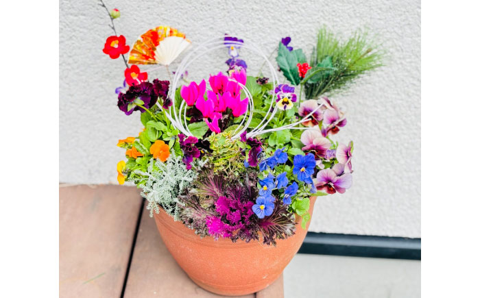 【先行予約】【12月上旬順次発送開始】新年を華やかに彩る お正月の寄せ植え(おまかせ) / 正月飾り 花苗 鉢 ピック【GreenlifeYoshimura】新年を華やかに彩る お正月の寄せ植え(おまかせ) / 正月飾り 花苗 鉢 ピック【GreenlifeYoshimura】 [BHBG001]