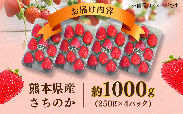 【先行予約】【2026年1月発送開始】 熊本県産 いちご さちのか 計1kg (250g×4パック) 苺 果物 フルーツ 甘い イチゴ おいしい 熊本県 菊陽町【有限会社 吉岡農園】 [BHBM001]
