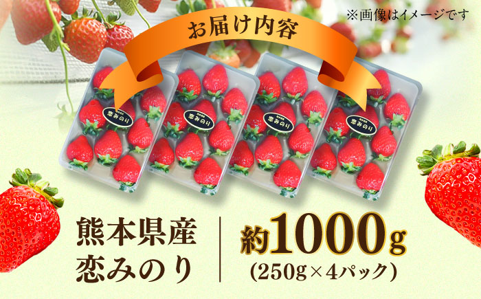 【先行予約】【2026年1月発送開始】 熊本県産 いちご 恋みのり 計1kg (250g×4パック)苺 果物 フルーツ 甘い イチゴ おいしい 熊本県 菊陽町【有限会社 吉岡農園】 [BHBM002]