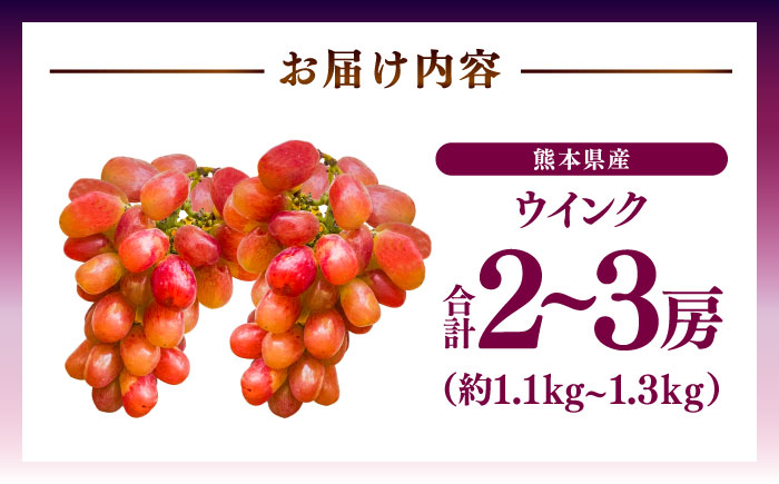 【限定数量】【10月下旬発送開始】ウインク 約1.1kg～1.3kg 合計2～3房 ぶどう【りとる農房】 [BHBO004]