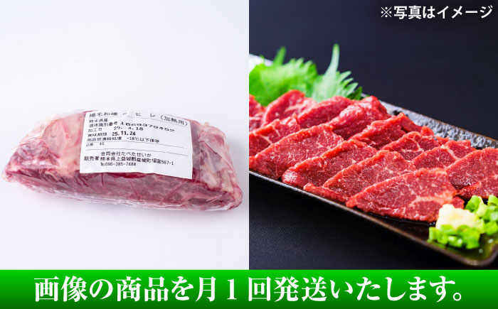 【全3回定期便】 あか牛 ステーキ用ヒレ肉(約800g)、馬刺し(約200g)セット 計約1kg / 牛肉 馬肉 食べ比べ　【合同会社 たべたせいか】 [BHBY017]