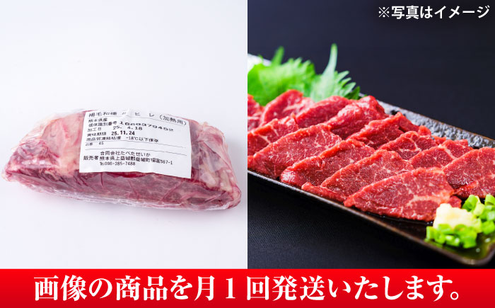 【全6回定期便】 あか牛 ステーキ用ヒレ肉(約800g)、馬刺し(約200g)セット 計約1kg / 牛肉 馬肉 食べ比べ　【合同会社 たべたせいか】 [BHBY018]