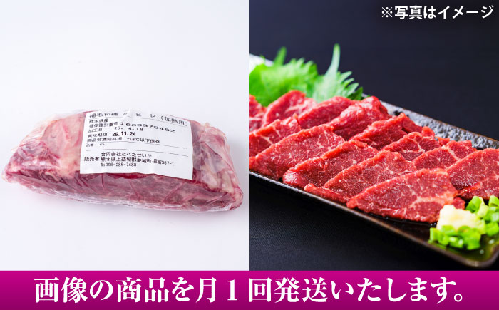 【全12回定期便】 あか牛 ステーキ用ヒレ肉(約800g)、馬刺し(約200g)セット 計約1kg / 牛肉 馬肉 食べ比べ　【合同会社 たべたせいか】 [BHBY019]
