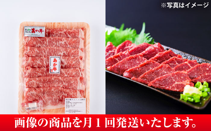 【全6回定期便】あか牛 すき焼き・しゃぶしゃぶ用 サーロイン肉(約1kg)、馬刺し(約200g)計約1.2kg【合同会社 たべたせいか】 [BHBY021]