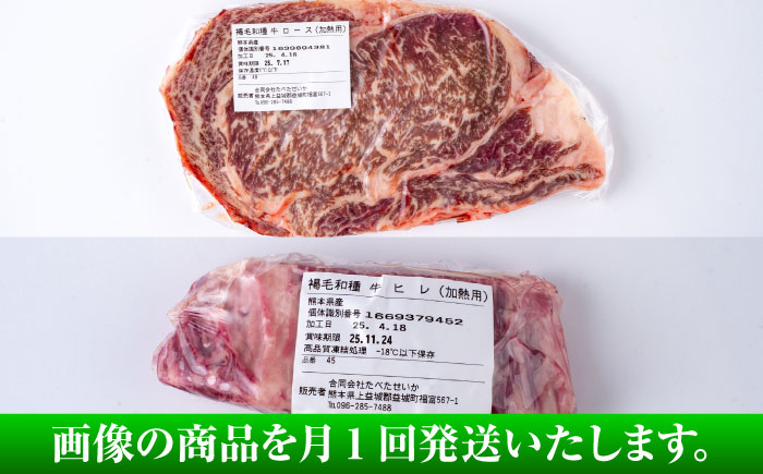 【全3回定期便】熊本県産 あか牛 ステーキ用ヒレ肉(約600g)、ロース肉(約800g) 計約1.4kg / 牛肉 国産 セット 食べ比べ【合同会社 たべたせいか】 [BHBY029]
