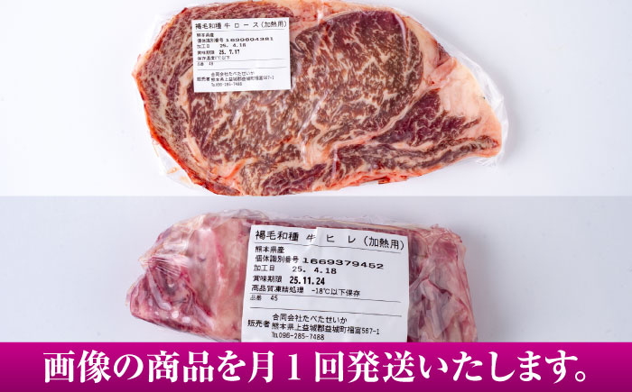 【全12回定期便】熊本県産 あか牛 ステーキ用ヒレ肉(約600g)、ロース肉(約800g) 計約1.4kg / 牛肉 国産 セット 食べ比べ【合同会社 たべたせいか】 [BHBY031]