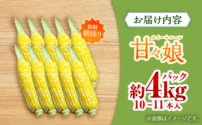 【先行予約】【2026年6月上旬より順次発送】スイートコーン(甘々娘) 約4kg（10～11本） とうもろこし【なかむら農園】 [BHCJ001]