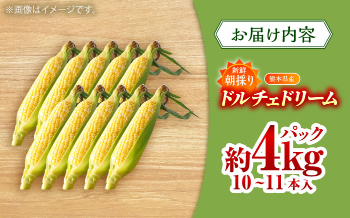 【先行予約】【2026年5月下旬より順次発送】スイートコーン(ドルチェドリーム)約4kg とうもろこし【なかむら農園】 [BHCJ002]